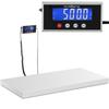 Warehouse Platform Scale 1000 X 500 Mm LCD 500 Kg 100 G