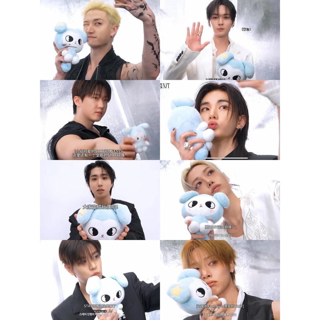 Stray Kids [World Tour Run It Seoul] PELUCHE TASY Ver ORIGINALE