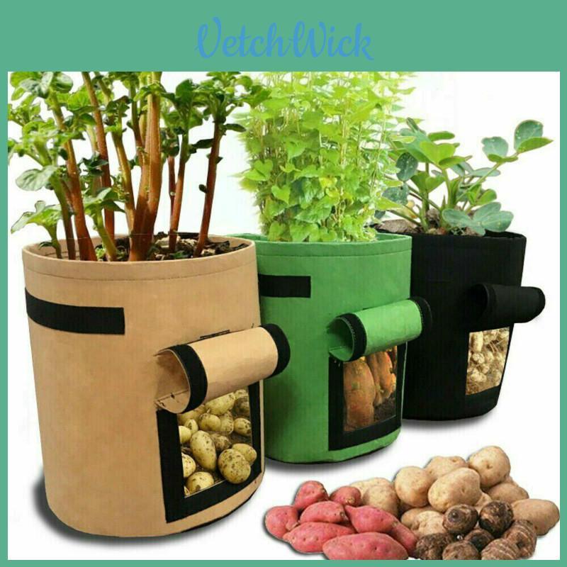 Flexible And Anti-corrosion 5/7/10 Gallon Garden Planting Grow Bag For Fresh Vegetables