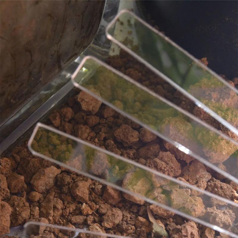 Acrylic Plant Labels 50PCS Clear Garden Labels Pot Clear Blank Ground Identifier Tag Acrylic Outdoor Label Markers Garden Labels