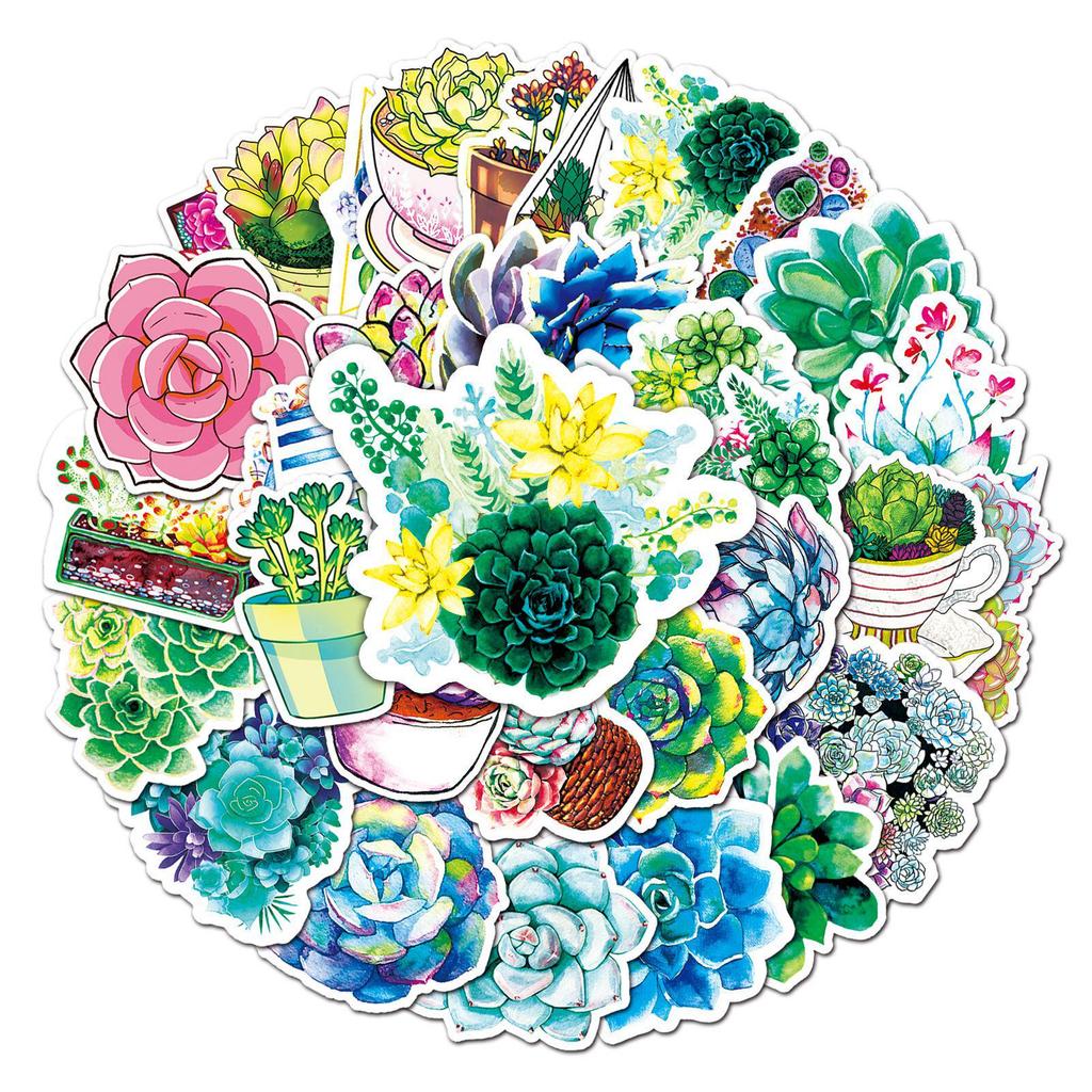 50 Succulent Green Plant Cartoon Decorative Stickers for Luggage, Scooter, Helmet, Car, or Motorcycle