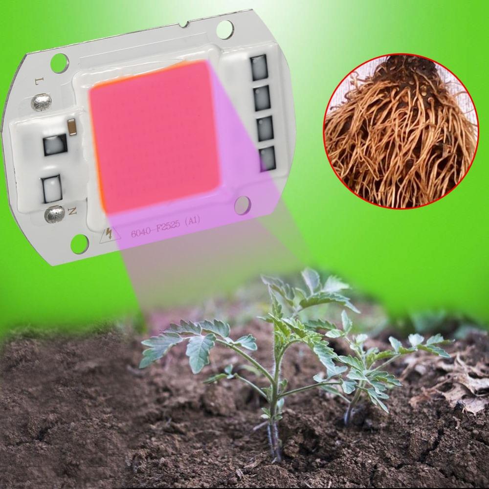 120 Degree Beam Angle Plant Grow Light Full Spectrum Hydroponic Plant Grow Light Hydroponic