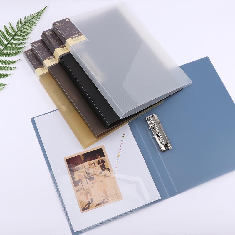 Fashion Single Clip Semi-Transparent A4 Document Folder
