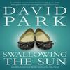 Swallowing the Sun by David Park Paperback Book 9780747599272