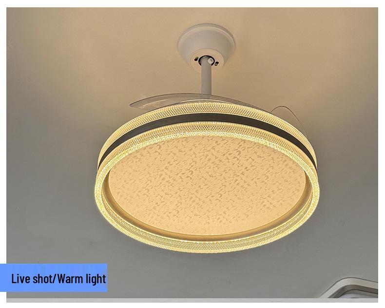 High-End Full Spectrum Ceiling Fan Light with Invisible Blades and All-Copper Motor for Restaurants and Homes