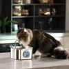 Fonte de Água Automática Quadrada para Pets de 3,2L para Gatos e Cães