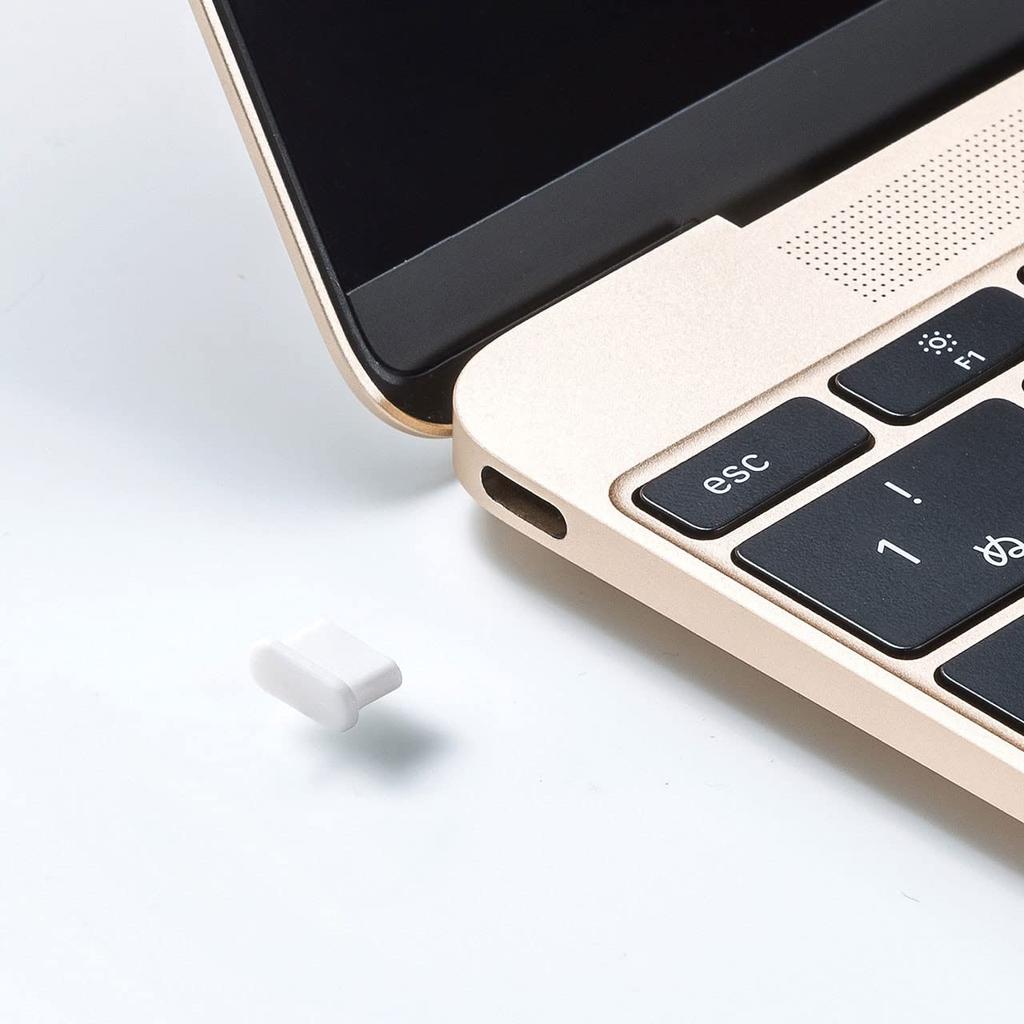 SANWA SUPPLY Type C Connector Cap, White, TK-CAP6W