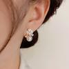 Zircon Flower Earrings Exquisite and Small Temperament Stud Earrings Fashion High Sense Earrings Women