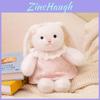 White Rabbit Plush Doll With Long Ears And Pp Cotton Filling For Gift