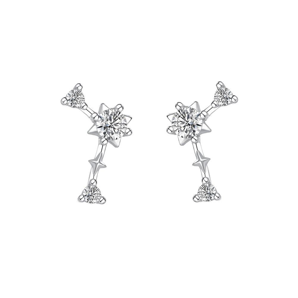 Korean Fashion Twelve Constellation Earrings for Women S925 Sterling Silver Exquisite Sparkling Zircon Earrings