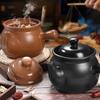 Jiwu Senlin Ceramic Herbal Decoction Pot