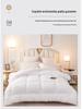 White Quilt Hotel Inn: All-Season Thick Quilt for Home & Hostel