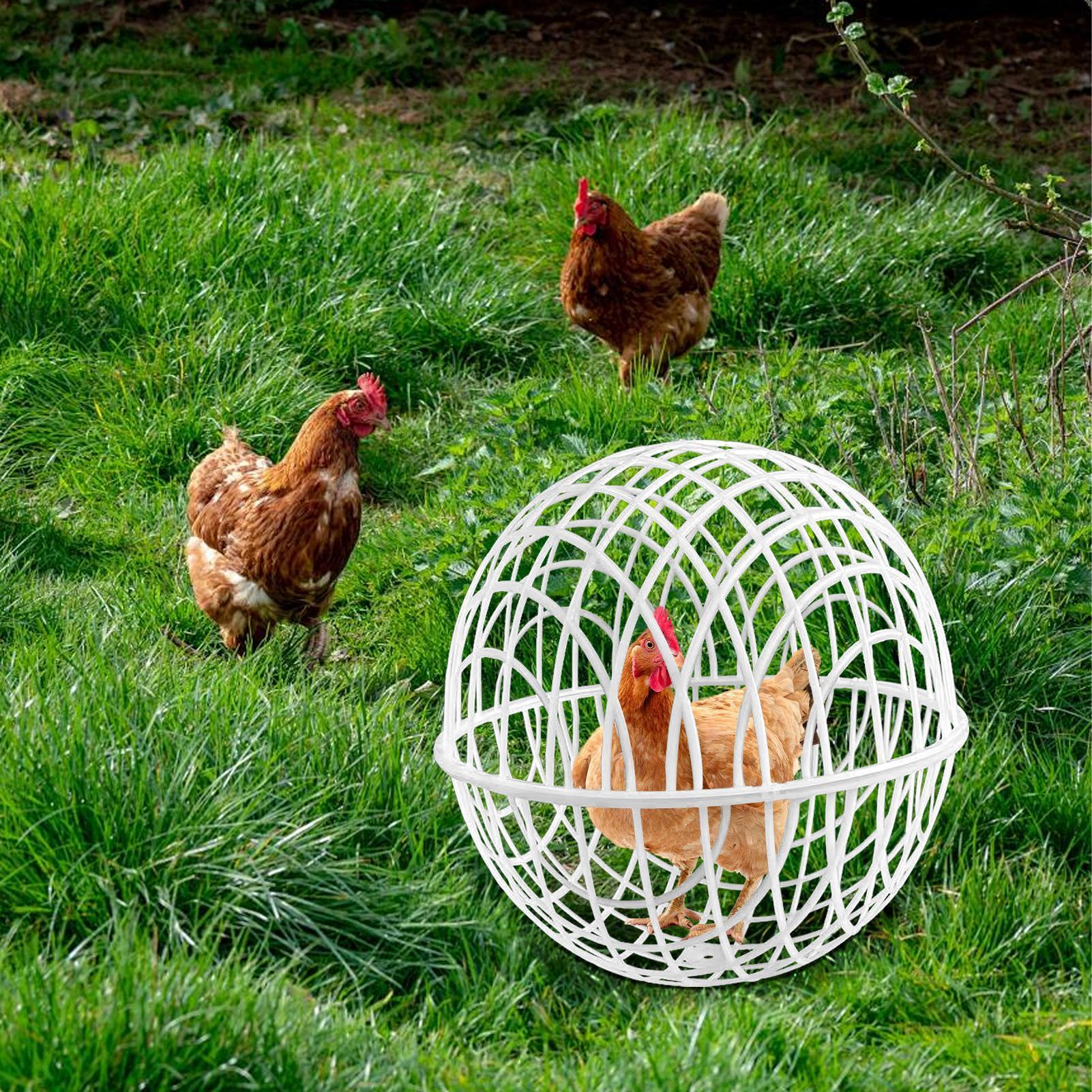 

3 Pieces Chicken Cages for Outside Movable Chicken Globe Poultry Habitat Supplies for Vegetable Protection Housing Pasture 20CM 3 pieces