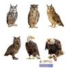 Fake Owl Decoy With Bells Bird Repel Owl Scarecrow Rectangle Hanging 2D Plane Bird Scare Device Waterproof Bird Repeller