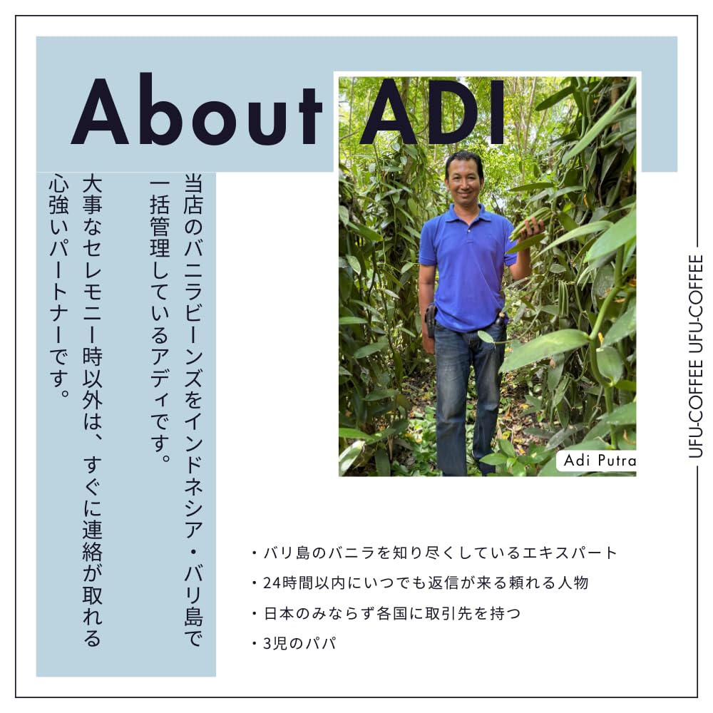 Vanilla Beans Made In A Grade Bourbon Sweets Homemade Great Value 18-20cm, Pesticide-free, Indonesia, Vanilla, Vanilla, Making, Extract, (12 Bottles)