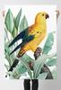 Poster Golden Parrot Exotic Plants