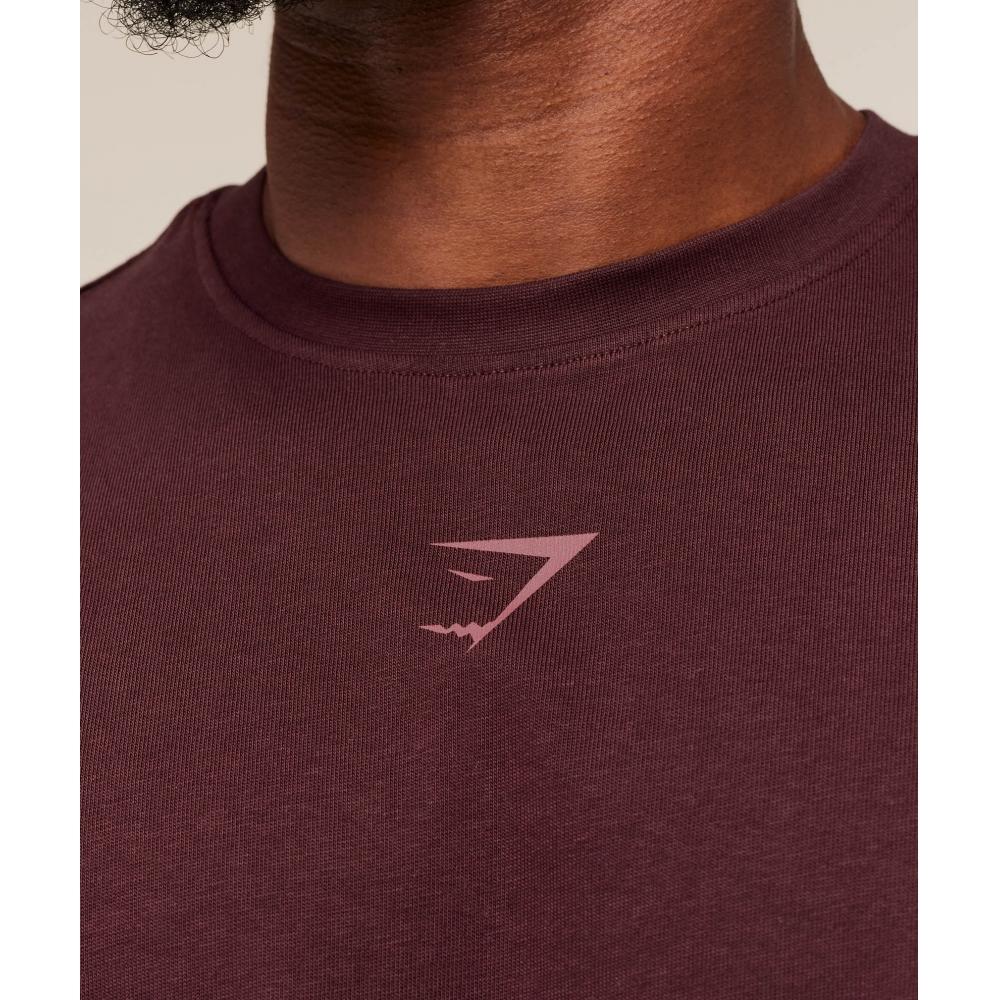 Gymshark LifTing Club T shirT Rich Maroon reseT Pink A1c8b Rb67