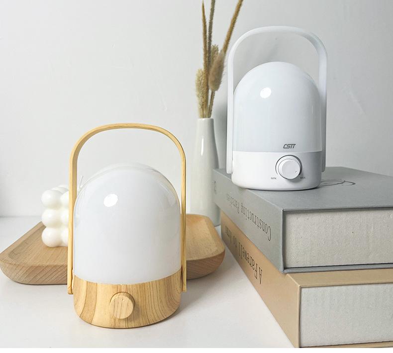 Rechargeable Dual-Color Night Light, Adjustable Brightness for Camping & Bedroom Sleep Aid