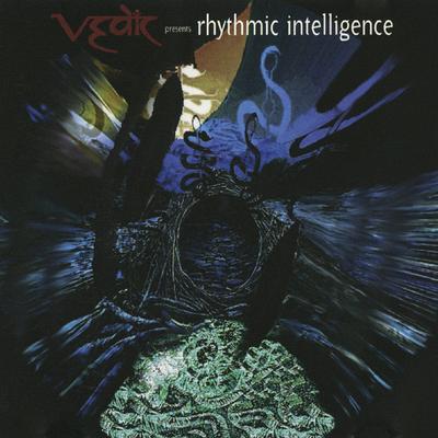 CD VARIOUS - Rhythmic Intelligence SR123CD Sub Rosa 1997 Belgium Dance & Electronica Used