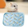 Hamster-Pad, rutschfeste Unterseite, kühles Gefühl, Cartoon-Muster, kühlendes Eistuch, Hamster-Schlafkissen, Haus, Heimtierbedarf
