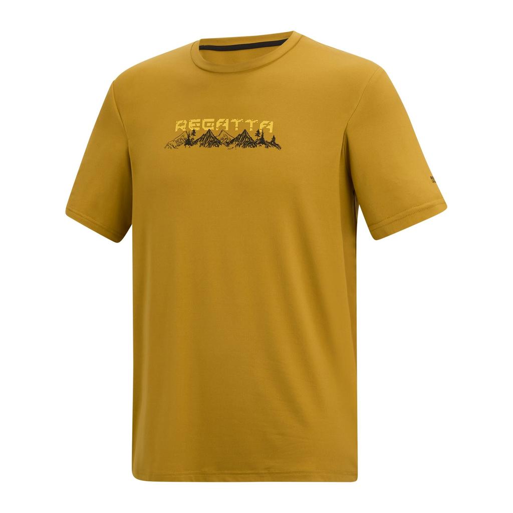 Regatta Mens Fingal Mountain T-Shirt
