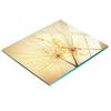 Decorative Tempered Glass Kitchen Chopping Board Dandelion 60x52 Cm