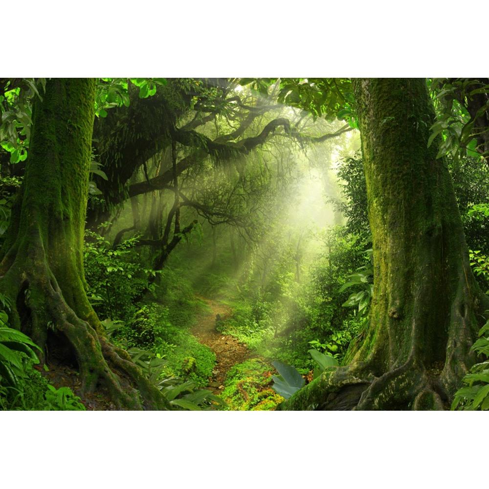 Spring Forest Backdrop Tropical Jungle Rainforest Backdrops for Photography Camping Adventure Birthday Background Photo Studio