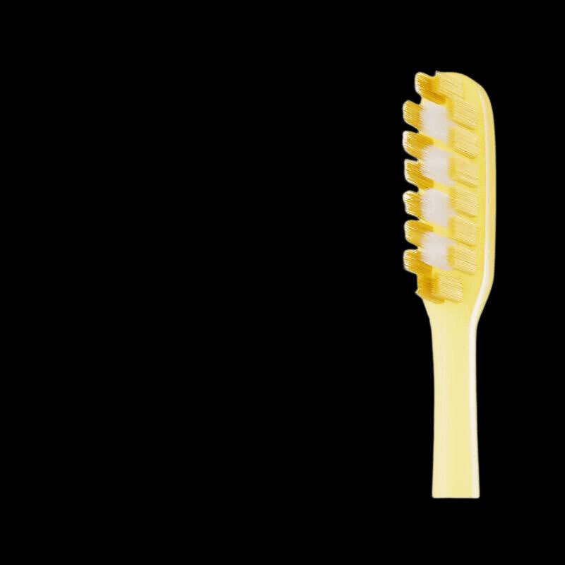Bai Xi Bass Method Toothbrush