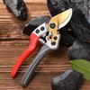 Japan SK-5 Pruning Shears for Thick Branches and Fruit Trees - Ideal for Horticulture and Floristry.