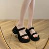 2025 high-end thick-soled slippers women's summer outer wear new summer small thick-soled beach with skirt cool slippers