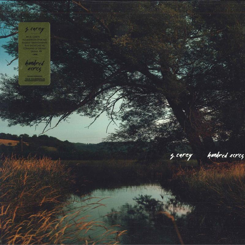 LP Record S. CAREY - Hundred Acres  JAG311 Jagjaguwar 2018 US Rock