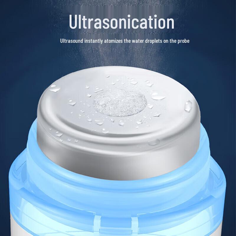 KinGdom Ultrasonic Facial Massager