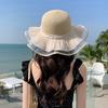 Hat Women Summer Mesh Straw Hat Internet Celebrity Beach Hat Vacation Travel Sun Hat Fashion Versatile