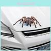 Pegatinas 3D de Calidad Premium para Coche con Geniales Diseños de Araña para una Decoración Única