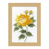 Olympus Thread Embroidery Kit 12 Months Flower Frame Collection Cross Stitch Kit October Yellow Rose 7517 Marie-Catherine