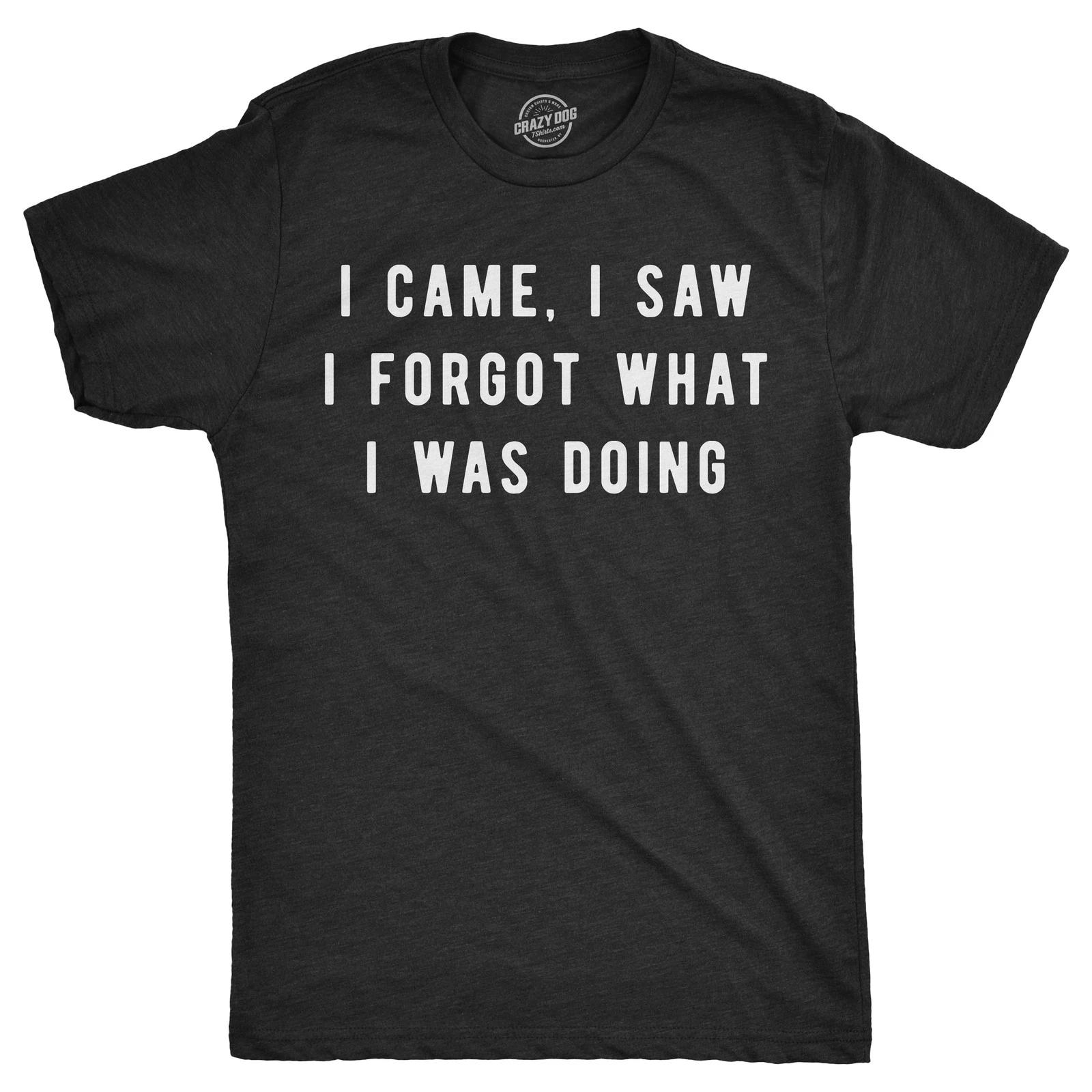 Mens I Came I Saw I Forgot What I Was Doing T Shirt Funny Sarcastic Tee for Guys L