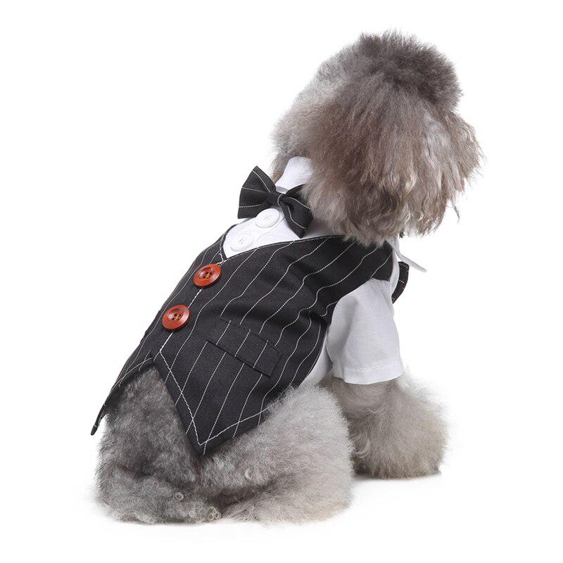 formal dog clothes