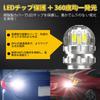 Perrace T16 LED Back Lamp, Explosive Light, T15, Backlight, Diffused Cover, 360° Omnidirectional Emission,