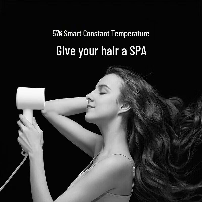 Xiaomi Mijia H300 Fast Drying Negative Ion Hair Dryer CN plug (adapter included)