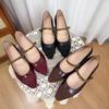Pointed Toe with Mary Jane Shoes, Shallow Mouth Single Shoes, Autumn New Models, Small Inner Height Increase with Skirt Fairy