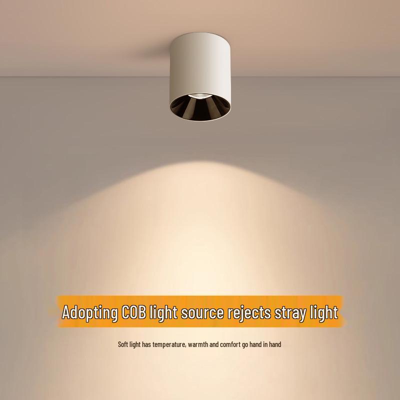 Waterproof LED Surface-Mounted Ceiling Spotlight for Indoor & Outdoor Use