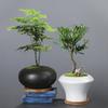Ceramic Flower Pot Retro Creative Flower Pot Green Plant Flower Device Desktop Flower Pot Succulent Simple Ins Matte Pot Table Decoration