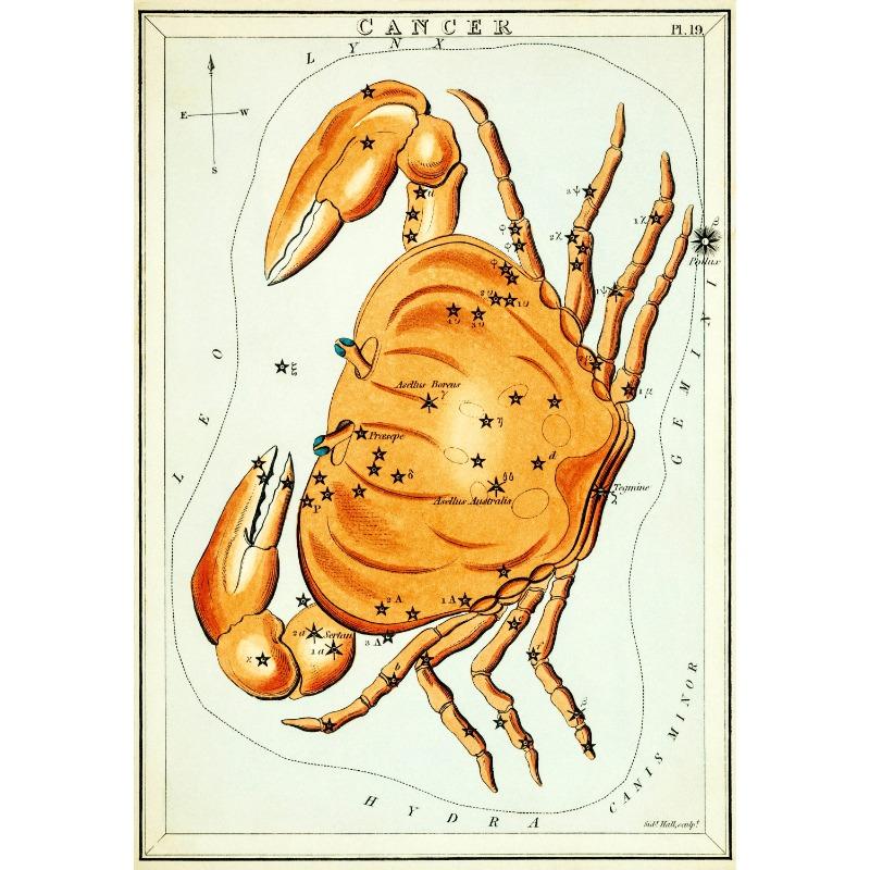 

Винтажный плакат со знаком зодиака, гороскоп, астрология, зодиак, карта звезд, печать на холсте, картина созвездия, настенное искусство для домашнего декора комнаты 21cm×30cm NoFrame