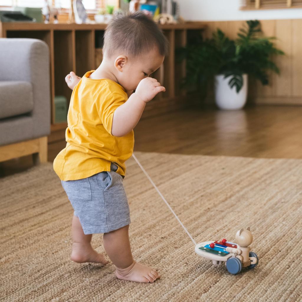 PLANTOYS Musical Bear 5271