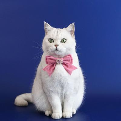 Cats Dog Collar Velvet Bow Tie Adjustable Anti-Choking Puppy Necklace Heart Shape Rhinestone Decoration Lightweight Comfortable Birthday Accessories