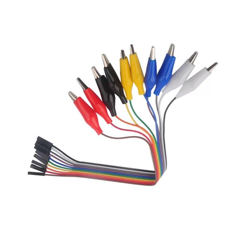 10-Pin Male/Female to Alligator Clip Test Cable Anti-Corrosion Insulated Lead for DIY Electronic Project Experiment