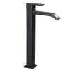 Collezione Rubinetto Monocomando Freddo in Acciaio Inossidabile 304 LINGJULI