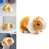 Lifelike Orange Guinea Pig Plush Toy For Children's Collection Gifts