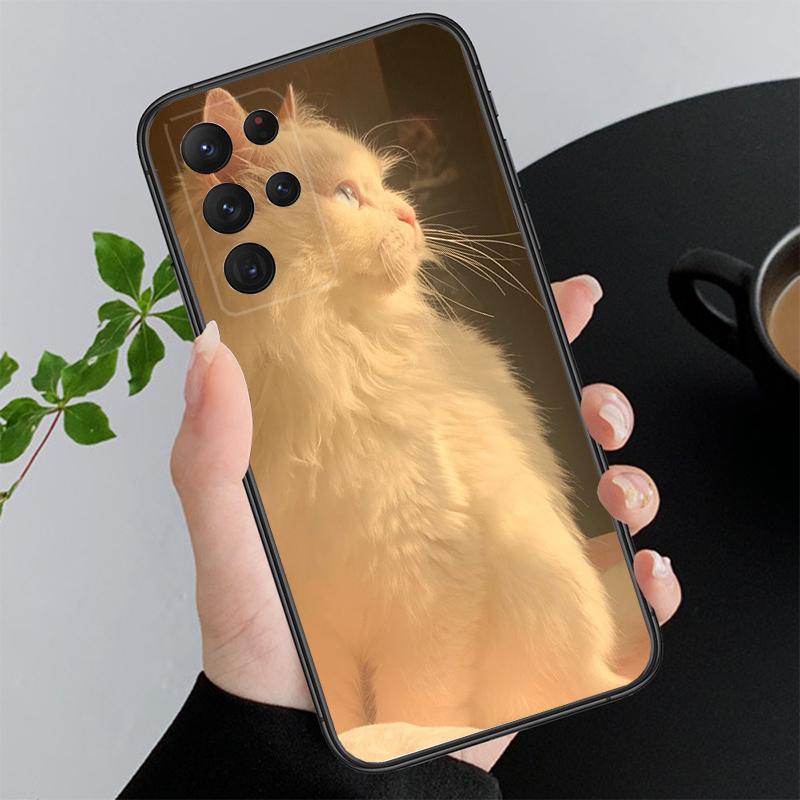 Phone Case For Samsung A17 A55 A16 A56 A35 A15 A53 A54 A33 A34 A25 A05S A52 A52S A07 A26 A06 Cute Cats