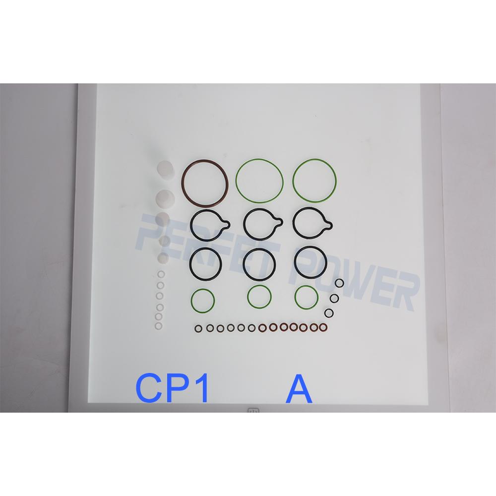 China Made New CP1 Repair Kit for Diesel Pump F01M101454, F01M101456, Overhaul Repair Kits CP1